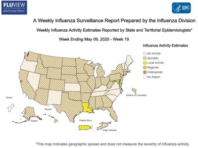 インフルエンザレポート