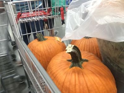 大きなかぼちゃ