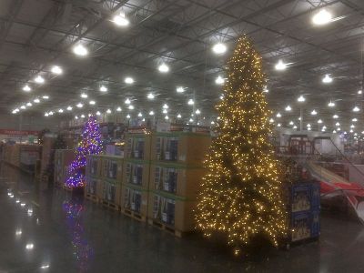 クリスマスツリー