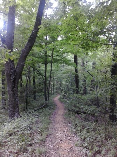 奥まった山道