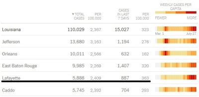 州内の人口比辺りの新規感染者数