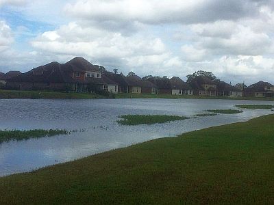 近所の池の様子