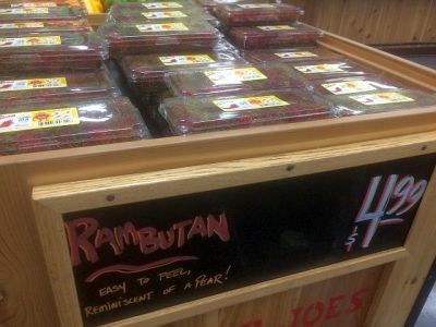 ランプータン