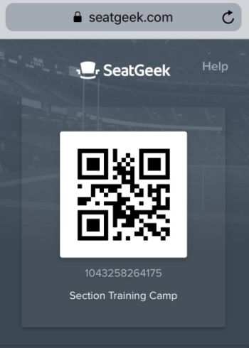 キャンプチケット