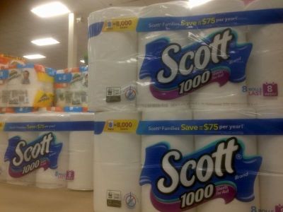 スコットのトイペ